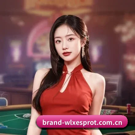突破五百万订阅量